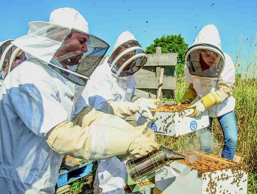 three beekeepers near hives